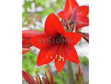 153,45���. ����������� �������� ��� �������(�������� ���� �� 2 ��., ����������� ����� 1��.)���15.jpg