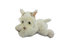 ������ ���� 30 ��. - 169,31 ������