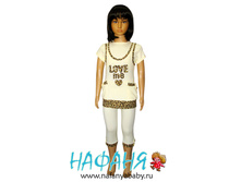 3858.jpg==490���