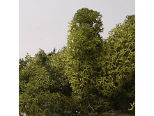 ��� ������������ 50 �, ���� �����-�������, ���. 5488825 260�.jpg