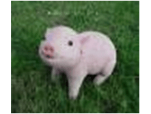 ������� �����.png