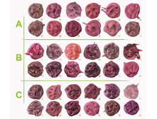 M-429 ������ ������-����� ��� ��� ��� 1,7,12.jpg