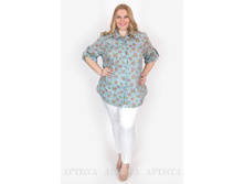 ������ V231.6