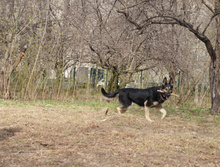 DSC06668.JPG
