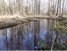 � ��������