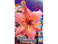 29,57���. �����  ���� ��������(��� 10 ��. ���������� ������ 5��.)���14.jpg