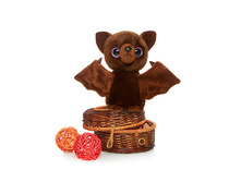 ������� ���� - 393,49 ������