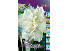 30,98���. ������� ���� �����(�������� ���� �� 10 ��., ����������� ����� 1��.).jpg