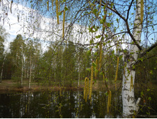 DSCN2046.JPG