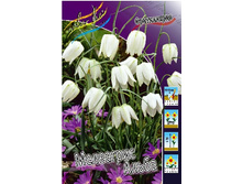 12���. ����������� ��������� �����(��� 15 ��. ���������� ������ 5��.).jpg