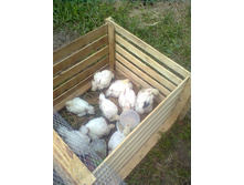 ������� �� ��������