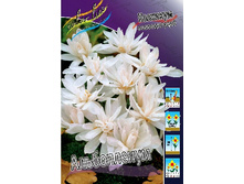 234,2���. �������� ����������� (����������.)(�������� ���� �� 2 ��., ����������� ����� 1��.).jpg