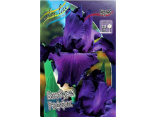 51,23���. ���� (pumila) ������� ������(�������� ���� �� 3 ��., ����������� ����� 1��.).jpg