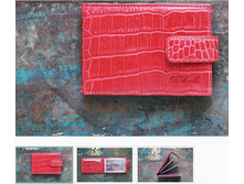 DM-WZ02-KR07 ��������� � ��������� � ��������� CROCO ������� �������