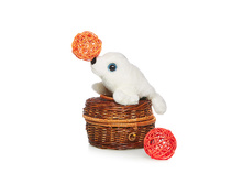 ������ - 393,49 ������