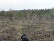 DSC02689.JPG
