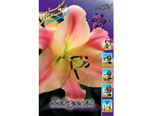 22,47���. �����  �������(��� 10 ��. ���������� ������ 5��.).jpg