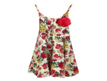 13-2006-C�������  424,00