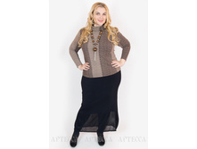 ������ V111.1.jpg