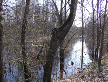 � ������