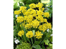 1,91���. ��� �����. ���� (�������)(���������� ������ ������ ���������� �� 15 ��.).jpg