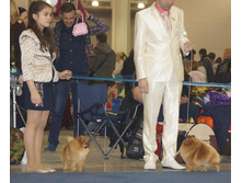 1982180 551762841604585 1781896671 n.jpg