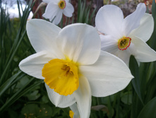 20150516 190927.jpg