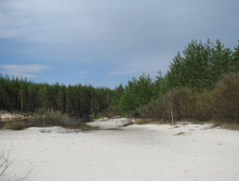 ����� ��� 2