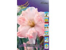 34,16���. ������� �����(�������� ���� �� 7 ��., ����������� ����� 1��.).jpg