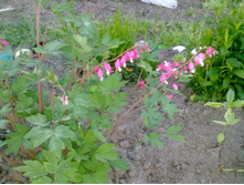 �������� �������� ������.jpg