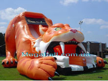 ����� ����.jpg