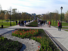 IMAG3667.jpg