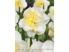 45,39���. ������� ���� ����(�������� ���� �� 10 ��., ����������� ����� 1��.)���14.jpg