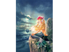 ��������� ���������