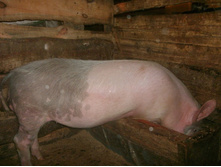 IMG 20150511 191358 30.jpg