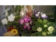 WP 20150512 21 46 51 Pro.jpg