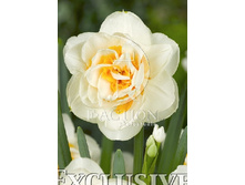 56,9���. ������� ���� ������(�������� ���� �� 5 ��., ����������� ����� 1��.)���14.jpg