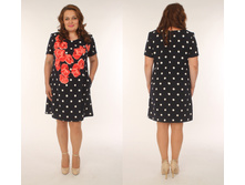 IMG 7424 5568292c2e008.jpg