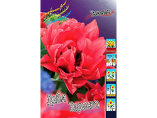 17,28���. ������� ���� �������(��� 10 ��. ���������� ������ 5��.).jpg