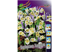 12,09���. ���� ����. �������� ������(��� 10 ��. ���������� ������ 5��.).jpg