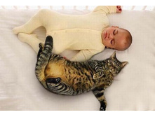 ���������)