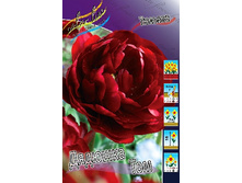 15,84���. ������� ������� ���(��� 10 ��. ���������� ������ 5��.).jpg