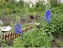 ����� �� ����-�����..jpg