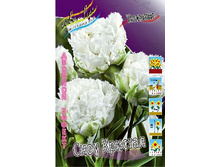 18,72���. ������� ���� �������(��� 10 ��. ���������� ������ 5��.).jpg