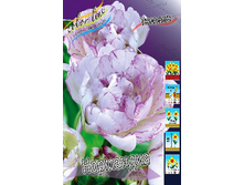 32,42���. ������� ���������(�������� ���� �� 10 ��., ����������� ����� 1��.).jpg