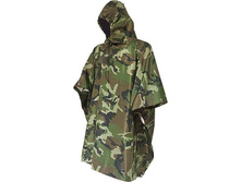 ���� �������� � �����.jpg