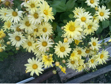 ���������� ������� ���������.jpg