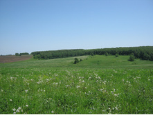 IMG 4321.JPG