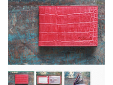 DM-WZ01-KR07 ��������� ��� �������� CROCO �������