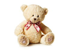 ����� ���� � ������ 24 �� - 542 ������